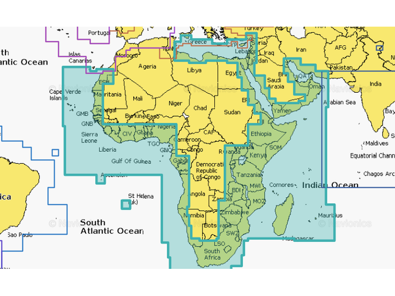 Navionics+ Large Marine Chart Module